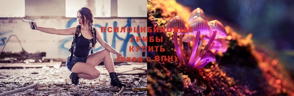 твердый Осташков