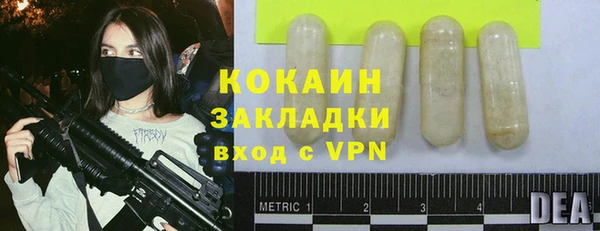 твердый Осташков
