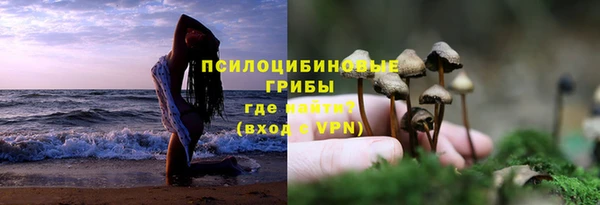 твердый Осташков