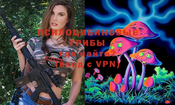 твердый Осташков