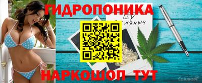 крисы Гусев