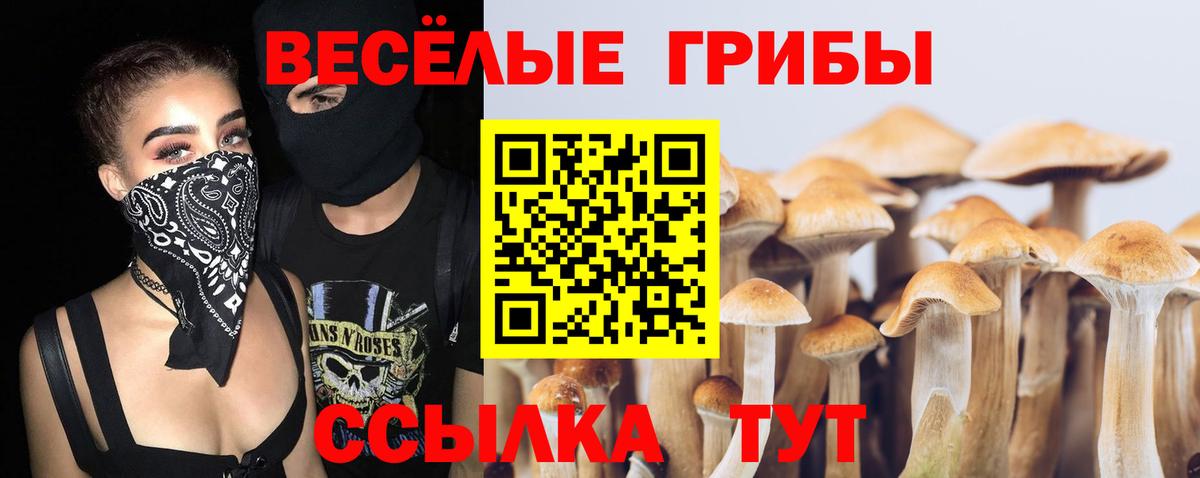 Ханты-Мансийск  Псилоцибиновые грибы Cubensis  Псилоцибиновые грибы ЛСД  Вход с VPN 